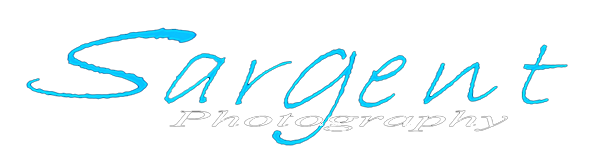 Sargent Photography Sargent Photography